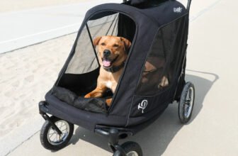 Real Stories: How Dog Strollers Changed Life for Dogs with Mobility Problems