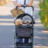 How to Train Your Dog to Feel Comfortable in a Pushchair