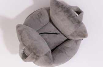 Long Road Trips with Large Dogs: Why You Need a Proper Dog Car Seat