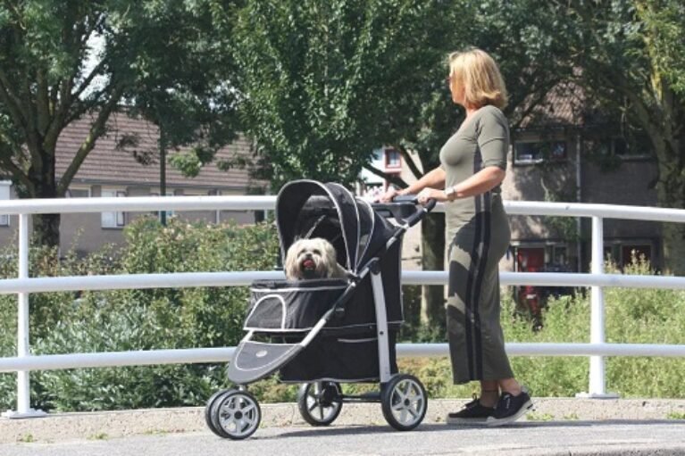 What Is a Dog Stroller and Do You Really Need One?