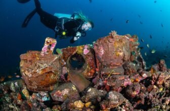 What Makes Tulamben Dive at MIMPI RESORT TULAMBEN So Special