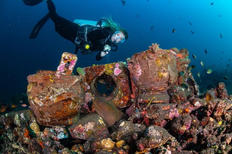 What Makes Tulamben Dive at MIMPI RESORT TULAMBEN So Special