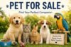 Pet for Sale: A Responsible Guide to Finding the Right Pet for Your Family