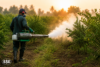 Thermal Fogging Machine for Agriculture: How Does It Help Farmers?