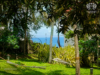 The Ultimate Guide to Finding the Best Ayurvedic Beach Resort Retreat in Kerala