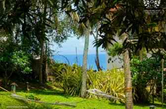 The Ultimate Guide to Finding the Best Ayurvedic Beach Resort Retreat in Kerala