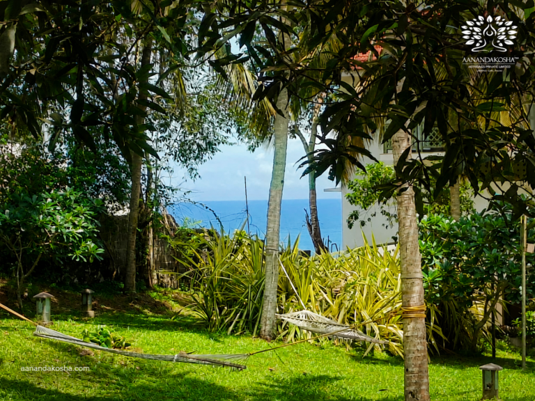 The Ultimate Guide to Finding the Best Ayurvedic Beach Resort Retreat in Kerala