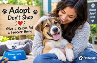 Pet Adoption: How to Give a Rescue Pet a Loving Forever Home