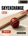 What Makes the SkyExchange Login Process Easy for Beginners?