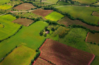 How to Choose the Right Plot in Goa for Your Future Home?