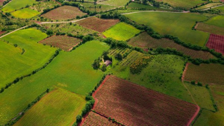 How to Choose the Right Plot in Goa for Your Future Home?