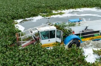 Rudra Aquamax 100X Aquatic Weed Harvester