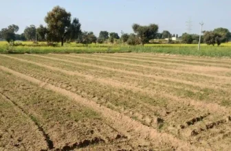 Buying Land in Goa for a Holiday Home or Permanent Residence