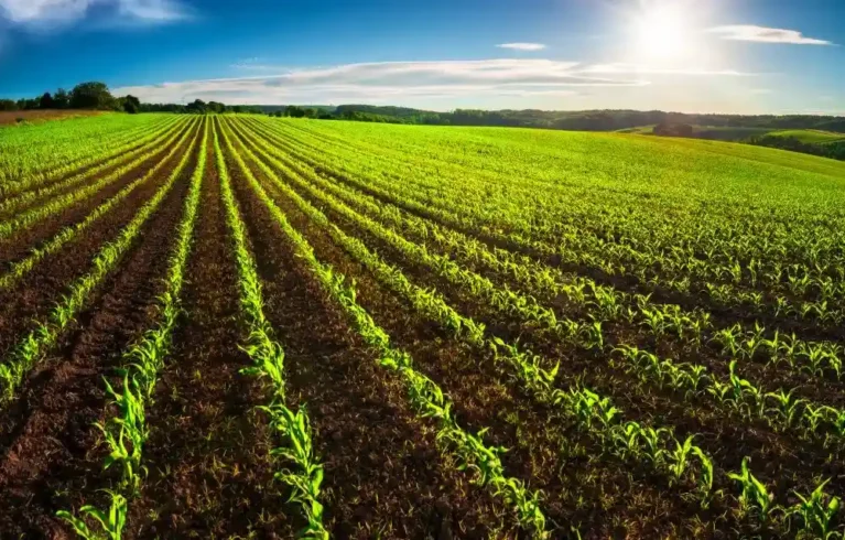 How to Choose the Right Plots in Goa for Your Property Plans