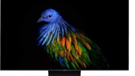 Hair Wigs and Extensions Market Size, Industry Trends 2035