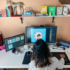 DCC – Next-Gen Graphic and Visual Design: Building Career-Ready Skills for the Digital Economy