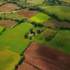 Where Can You Find the Best Residential Plots in Goa to Buy?