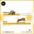 The Benefits of Custom Graphic Design for Your Business Website