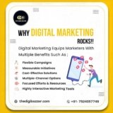 The Importance of Content Quality in SEO