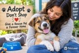 Pet Adoption: How to Give a Rescue Pet a Loving Forever Home