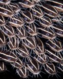 Tulamben Dive – A Complete Human Guide to Bali’s Most Magical Underwater Experience