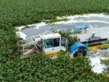 Rudra Aquamax 100X Aquatic Weed Harvester