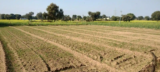 Buying Land in Goa for a Holiday Home or Permanent Residence