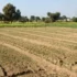 Why Should You Consider a Farmhouse in Naugaon for Weekend Getaways?