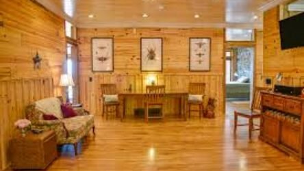 Why U.S. Homeowners Love Knotty Pine Paneling for a Warm, Rustic Interior