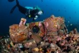 What Makes Tulamben Dive at MIMPI RESORT TULAMBEN So Special